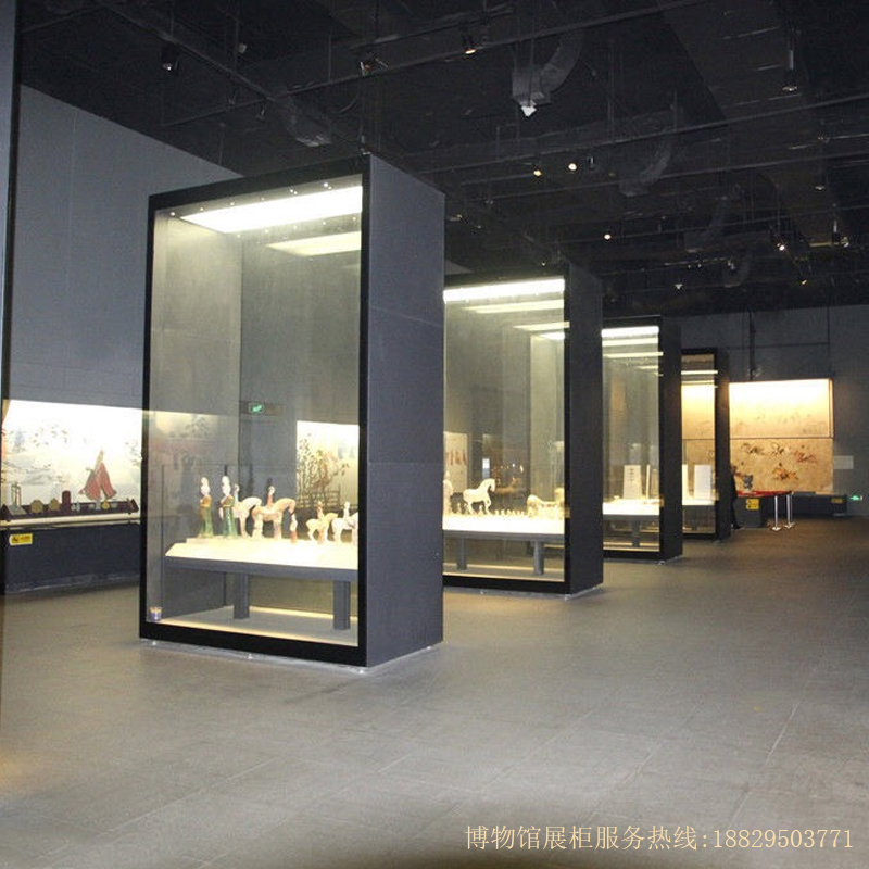 深圳市实创博物馆展柜双面低反射独立通柜 实创-A006