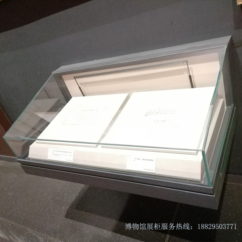 深圳市博物馆展柜安装在墙壁上的博物馆展柜-悬挂展柜实创-X011
