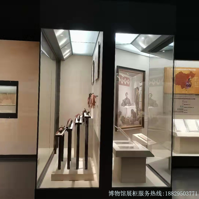深圳市实创博物馆展柜全景双面中心独立柜 实创-A004